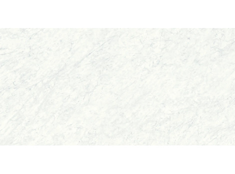 Carrara White Finition Nature - Xtone Porcelanosa